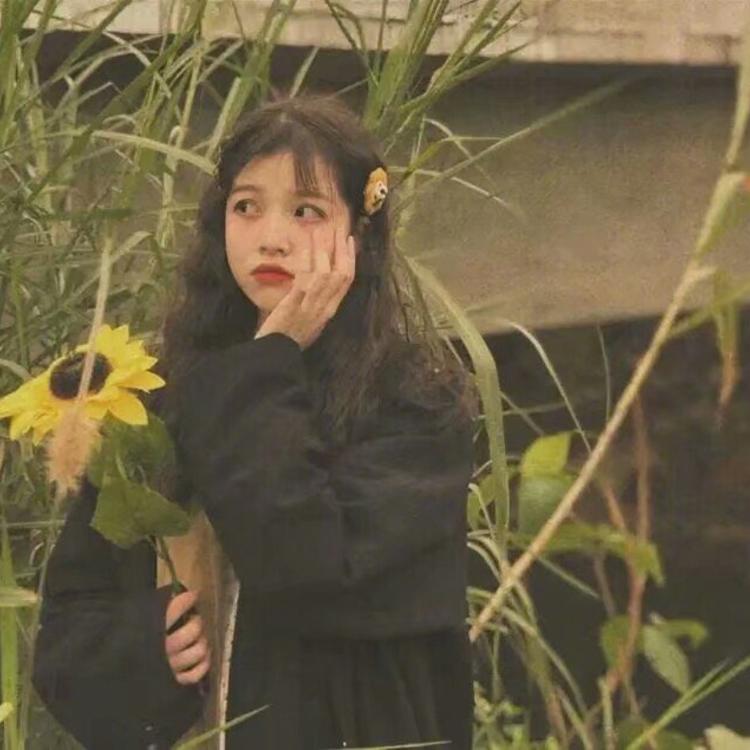 清水明 - 游戏直播实时在线观看 - 平板看剧